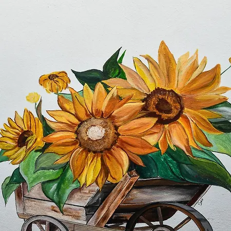 ホステル 2vb Shkodër