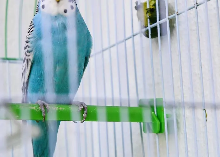 Auberge de jeunesse 2vb *