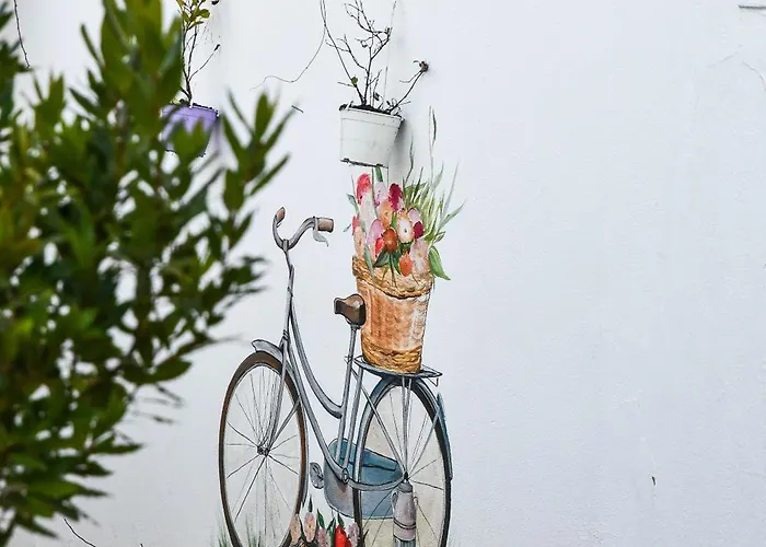 2vb Auberge de jeunesse