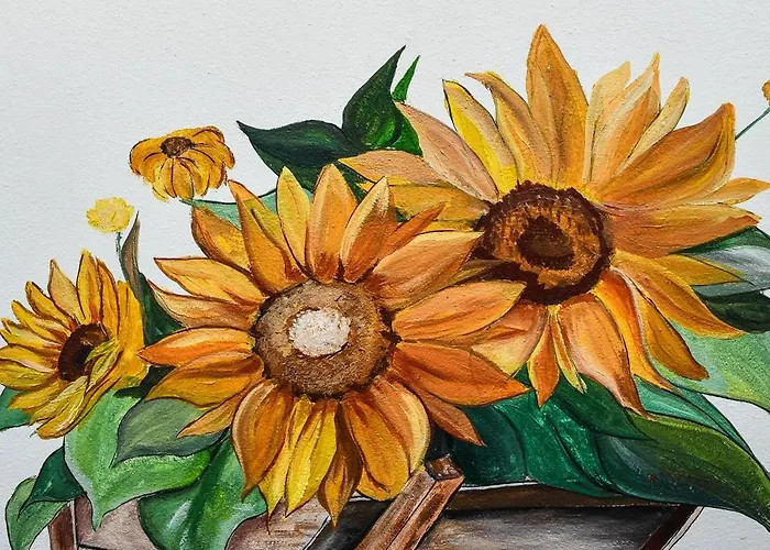 Auberge de jeunesse 2vb Shkodër